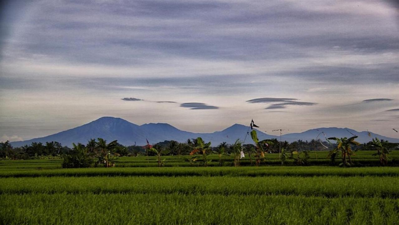 Pnb Bali Villas Canggu Eksteriør bilde