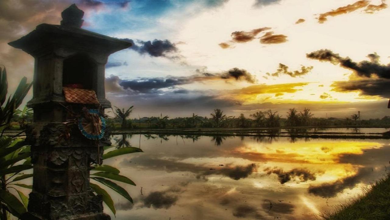 Pnb Bali Villas Canggu Eksteriør bilde